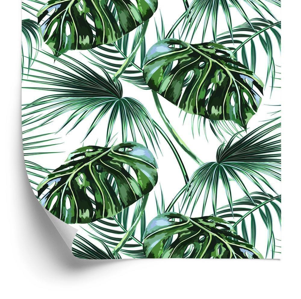 Tapet - Blade af palme og monstera