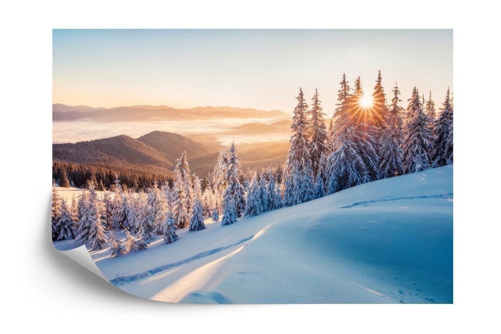 Fototapet - Impressive winter morning in carpathian mountains with snow covered fir trees. colorful outdoor scene happy