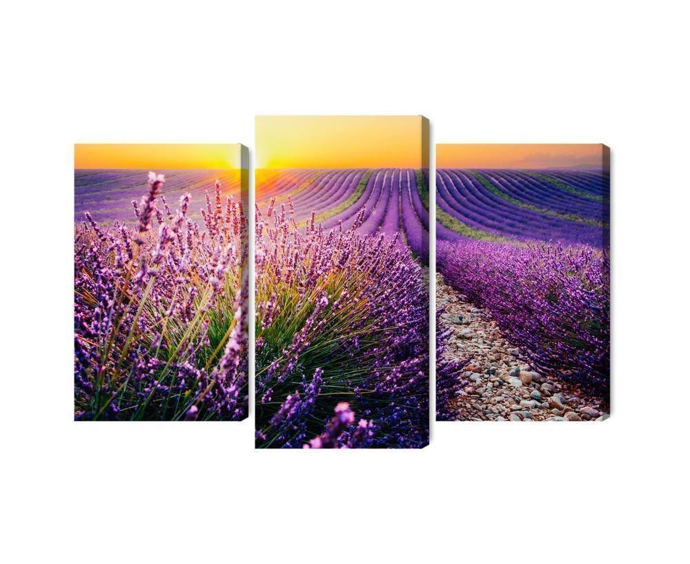 Flerdelt lærred lavendel felt ved solnedgang 3D