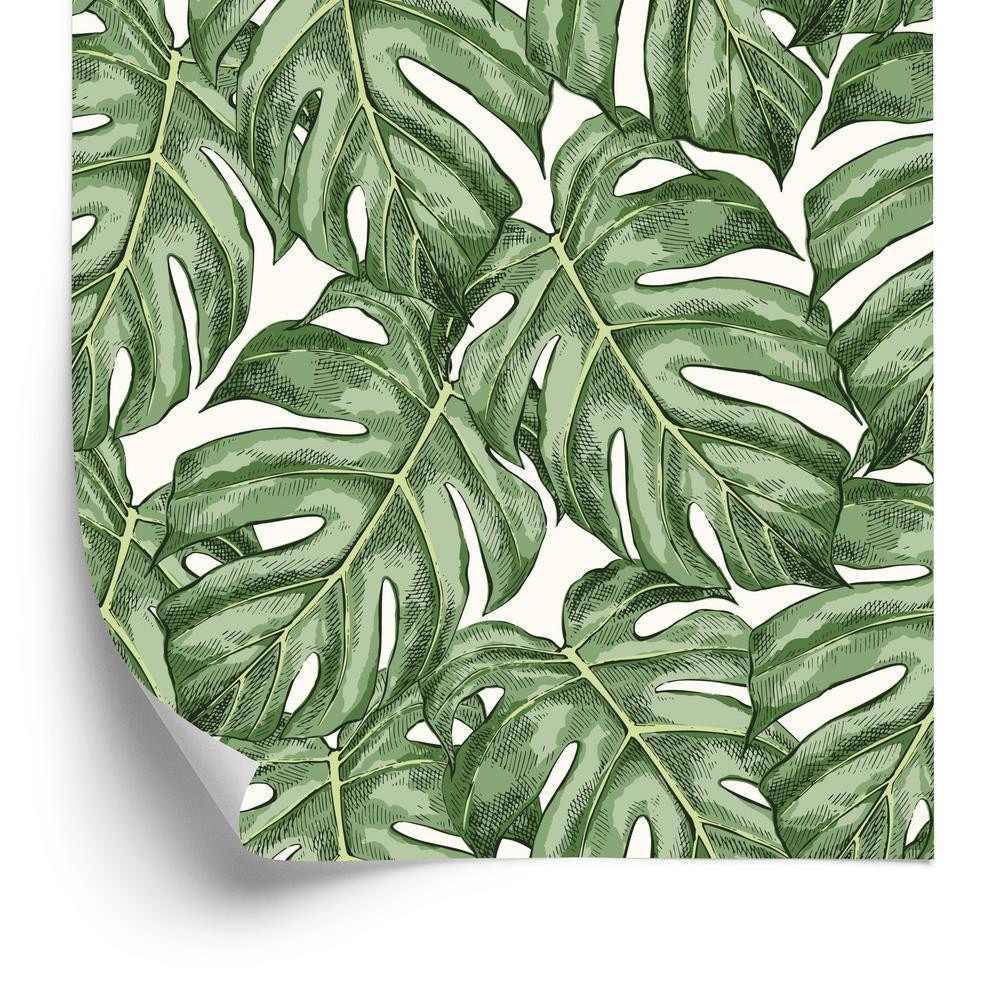 Tapet - Monstera forlader