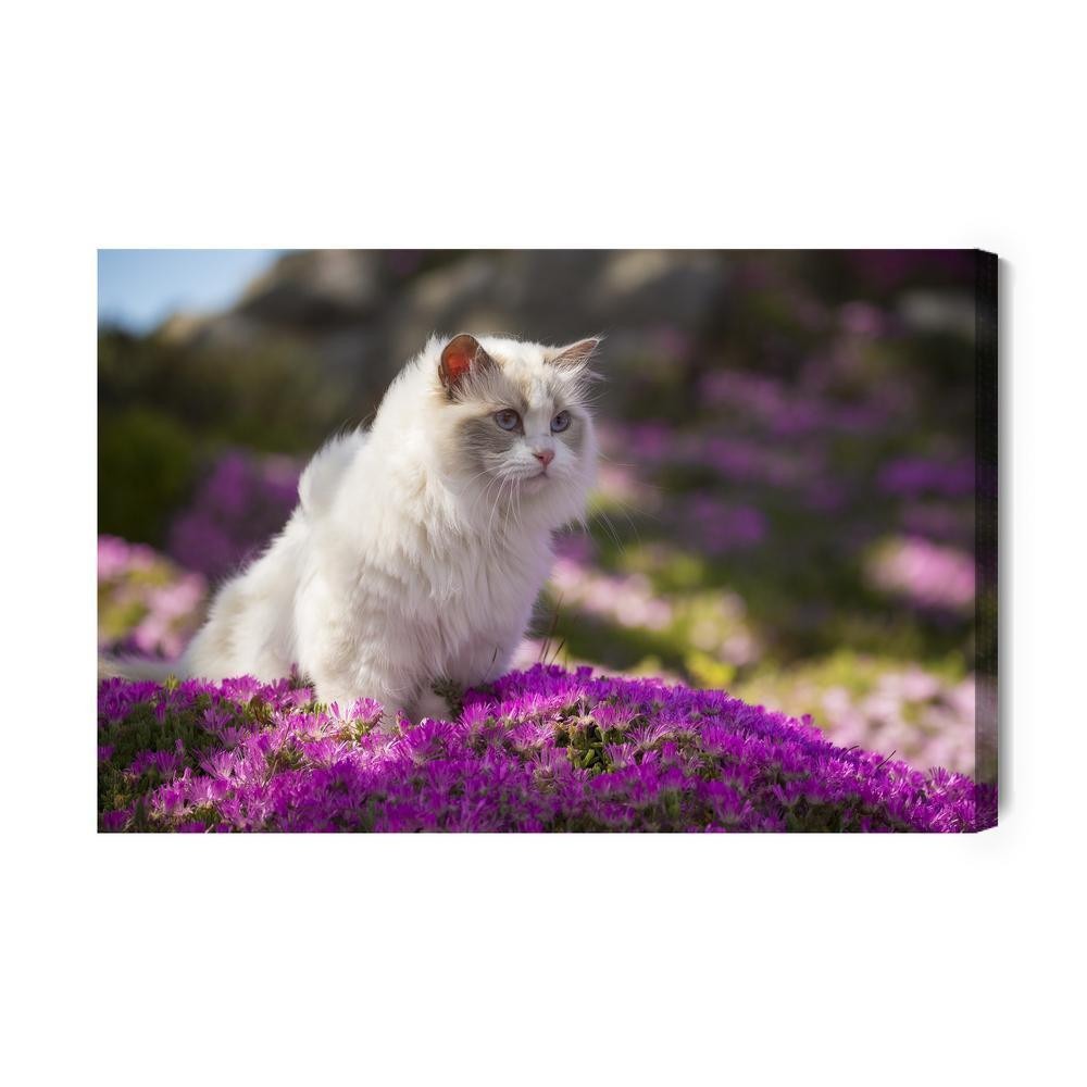 Lærred - Ragdoll kat blandt blomster