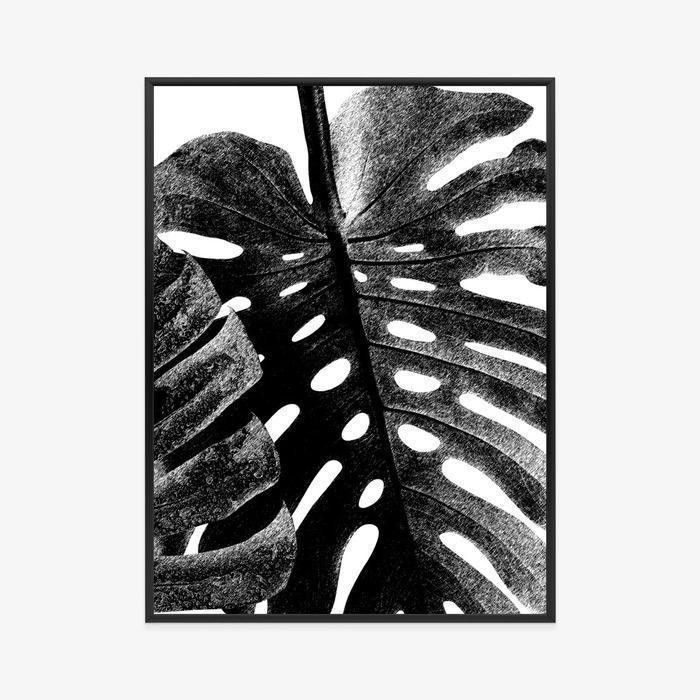 Plakat - Black and white leaf ramme aluminium farve sort