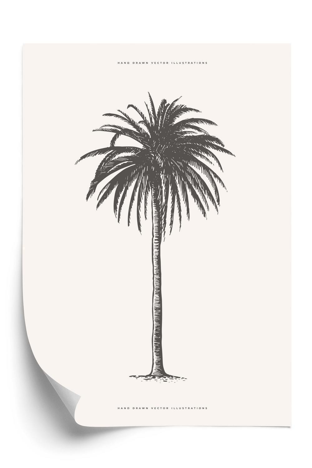 Plakat - Grå vintage palme illustration