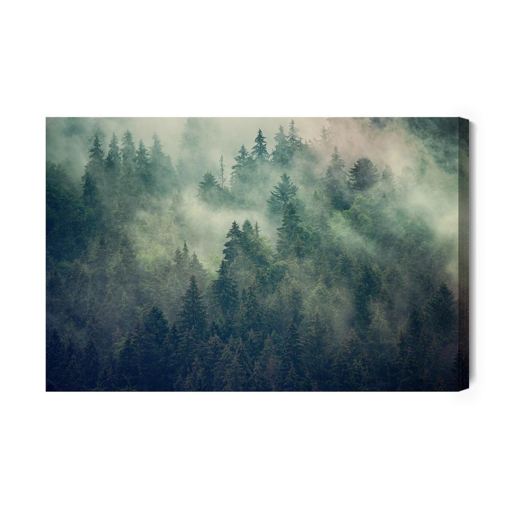 Lærred - Misty landscape with fir forest in hipster vintage retro style