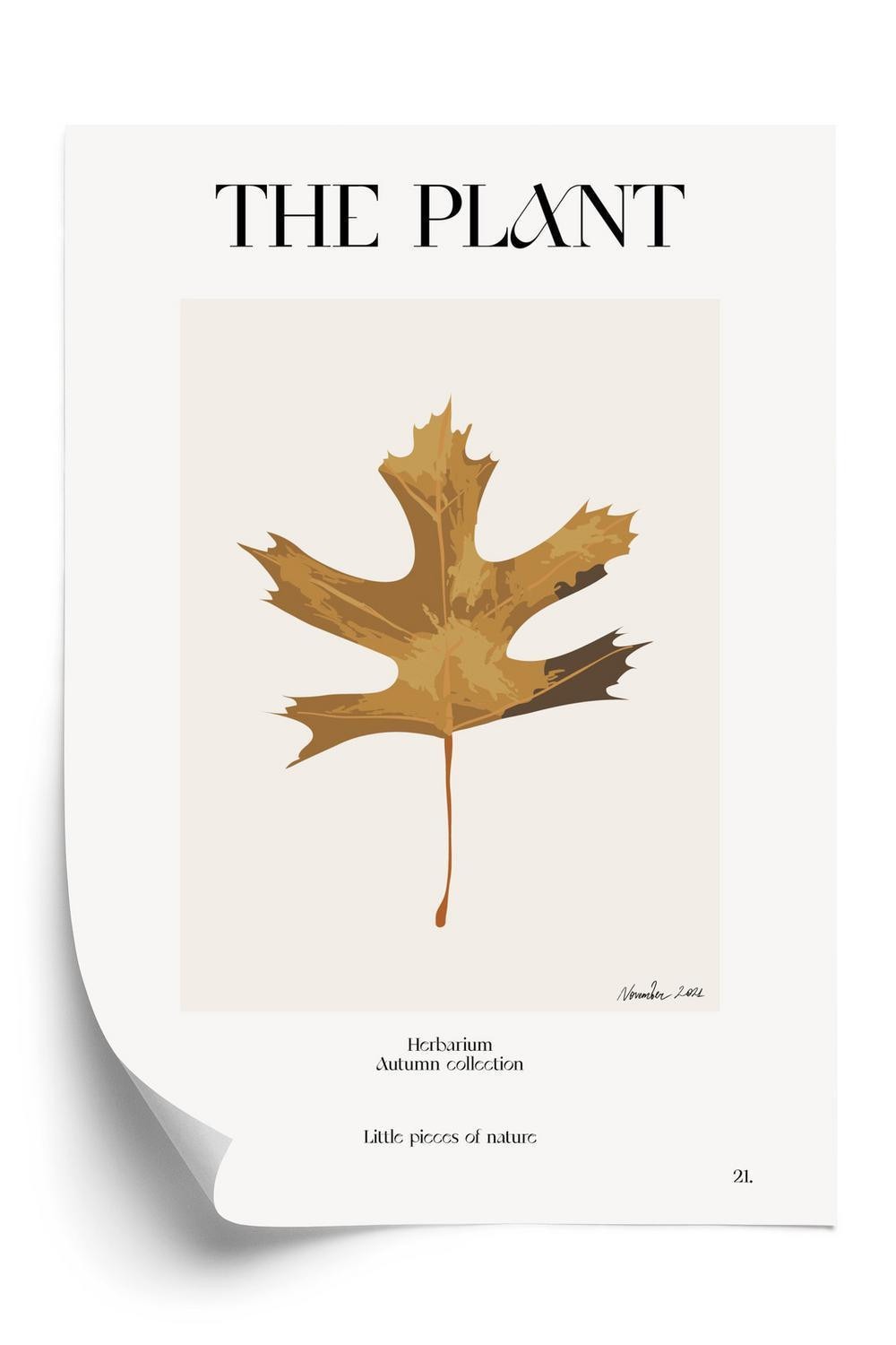 Plakat - Efterårsblad i herbariet