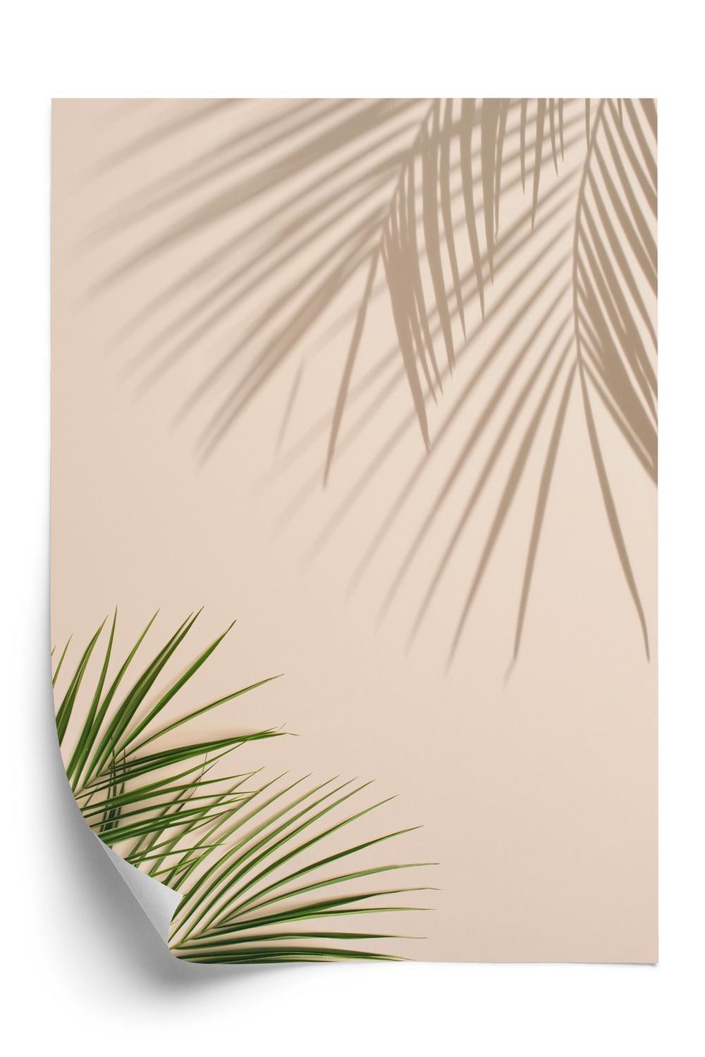 Plakat - Sommer naturlige grønne palmeblade og skygger