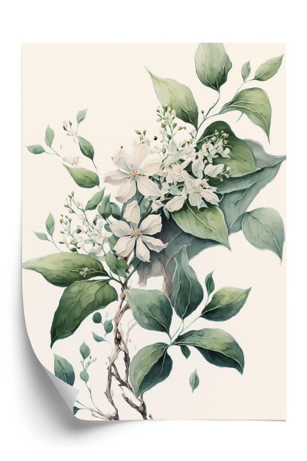 Plakat - Hvide blomster på en grøn gren