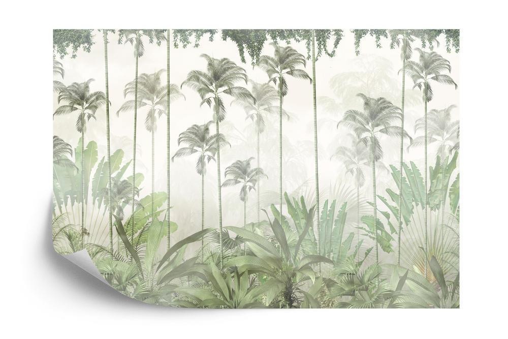 Fototapet tropical trees and leaves for digital printing wallpaper