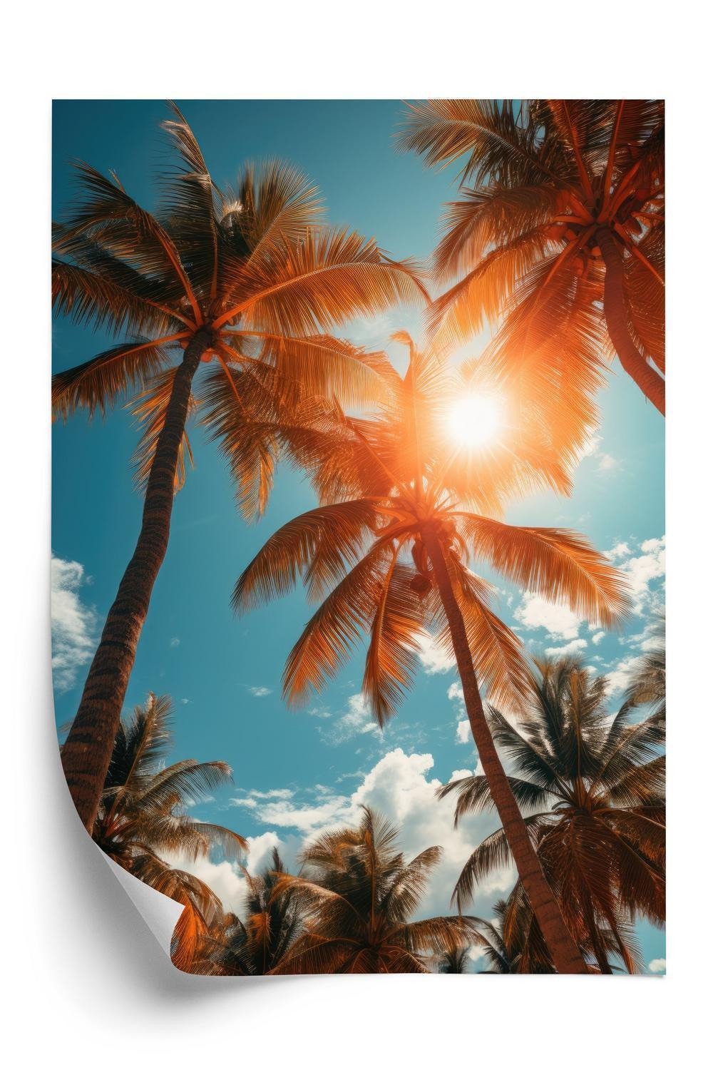 Plakat - Solen skinner gennem høje palmer