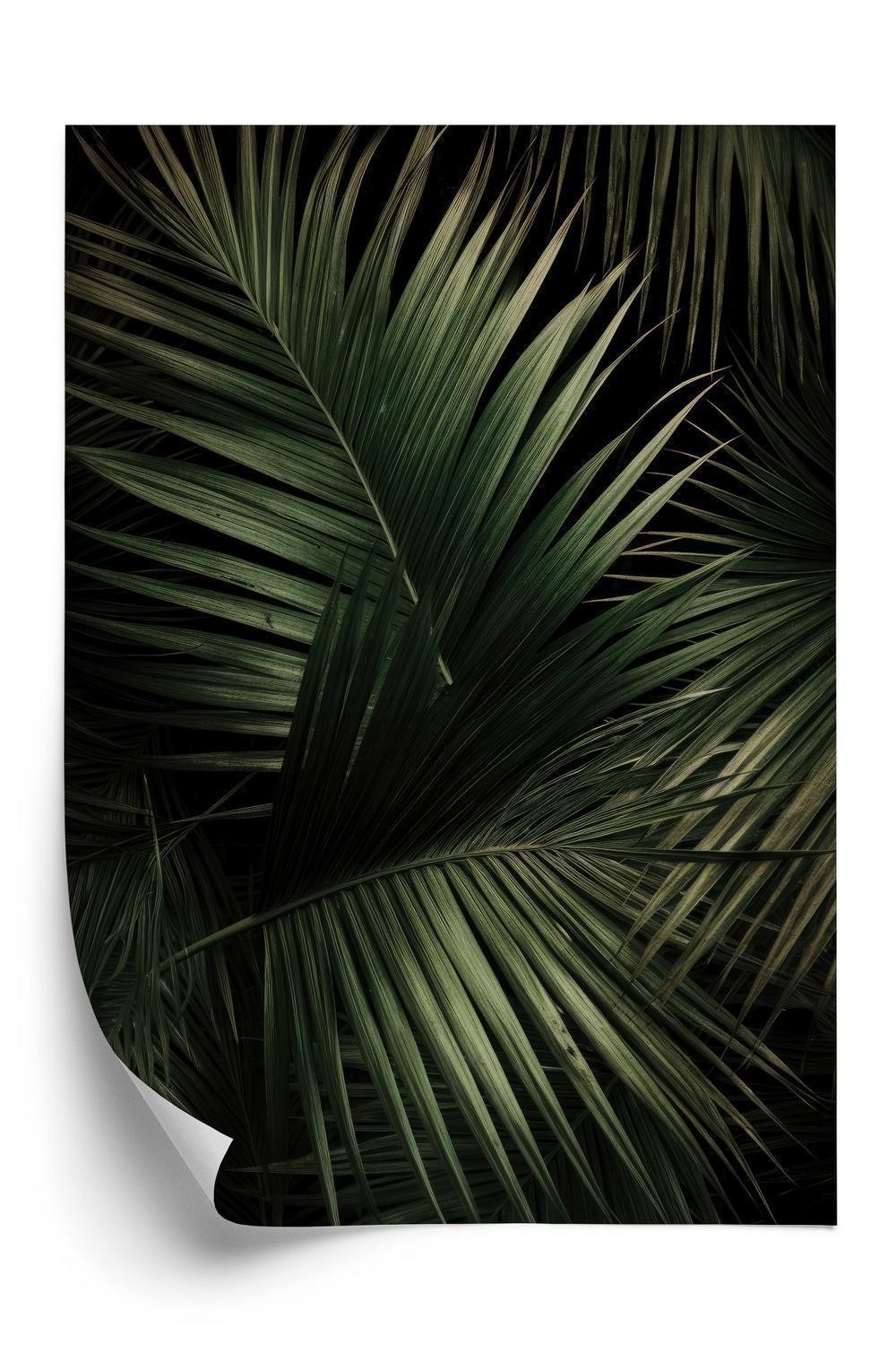 Plakat - Mørke store palmeblade
