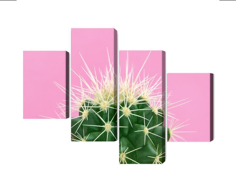 Flerdelt lærred kaktus på en lyserød baggrund