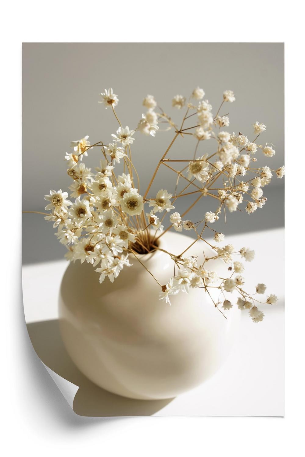 Plakat - En vase med tørre tusindfryd blomster