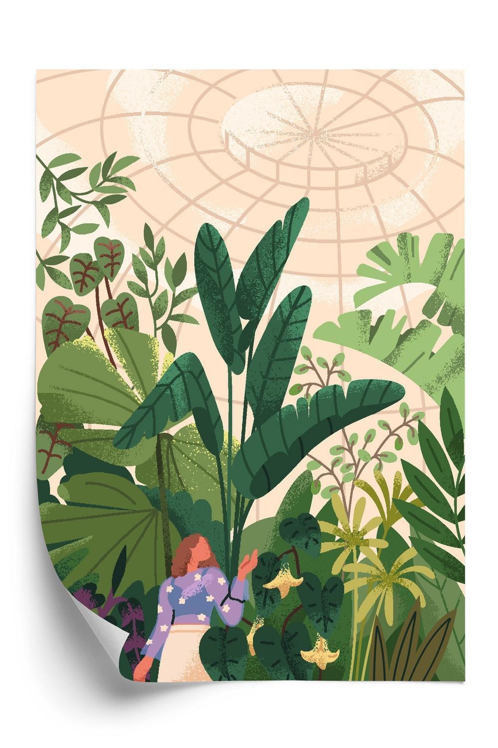 Plakat - Drivhus og eksotiske planter