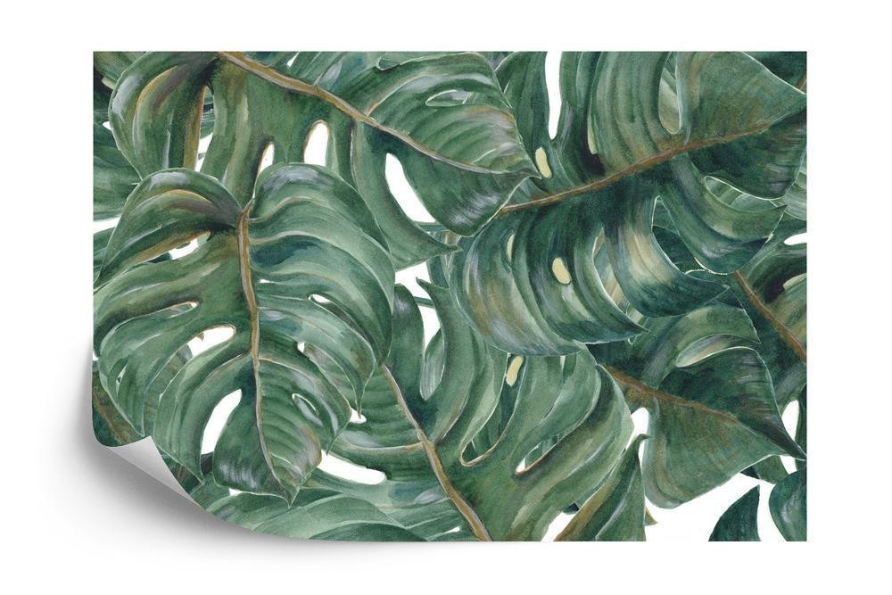 Fototapet - Akvarel monstera blade