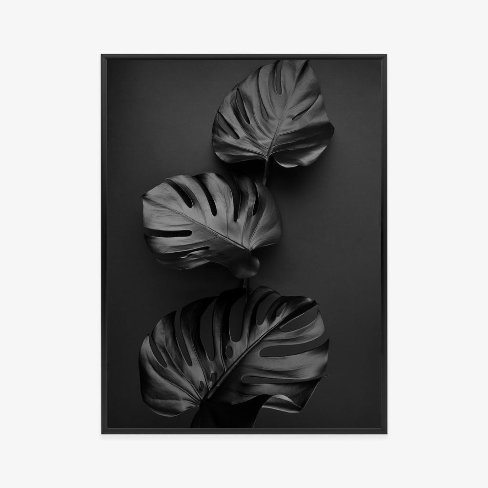 Plakat - Shiny dark leaves ramme aluminium farve sort