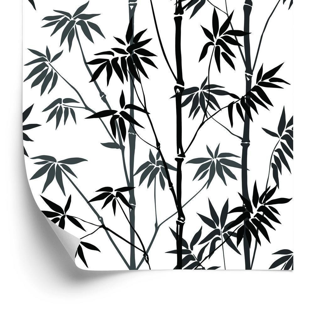 Tapet - Sort og hvid bambus skov