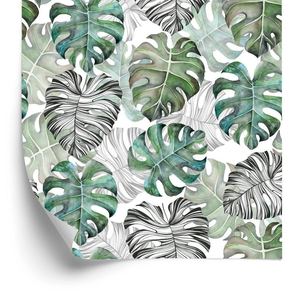 Tapet - Monstera forlader