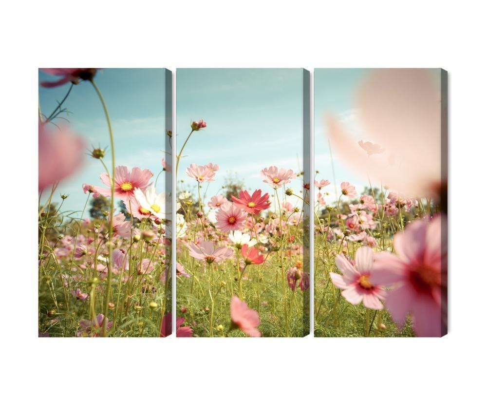 Flerdelt billede på lærred kosmos blomster i haven