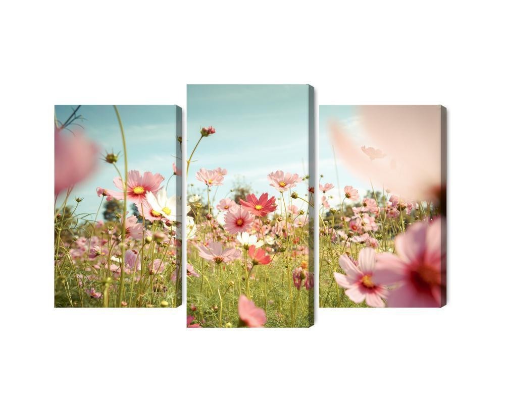 Flerdelt billede på lærred kosmos blomster i haven
