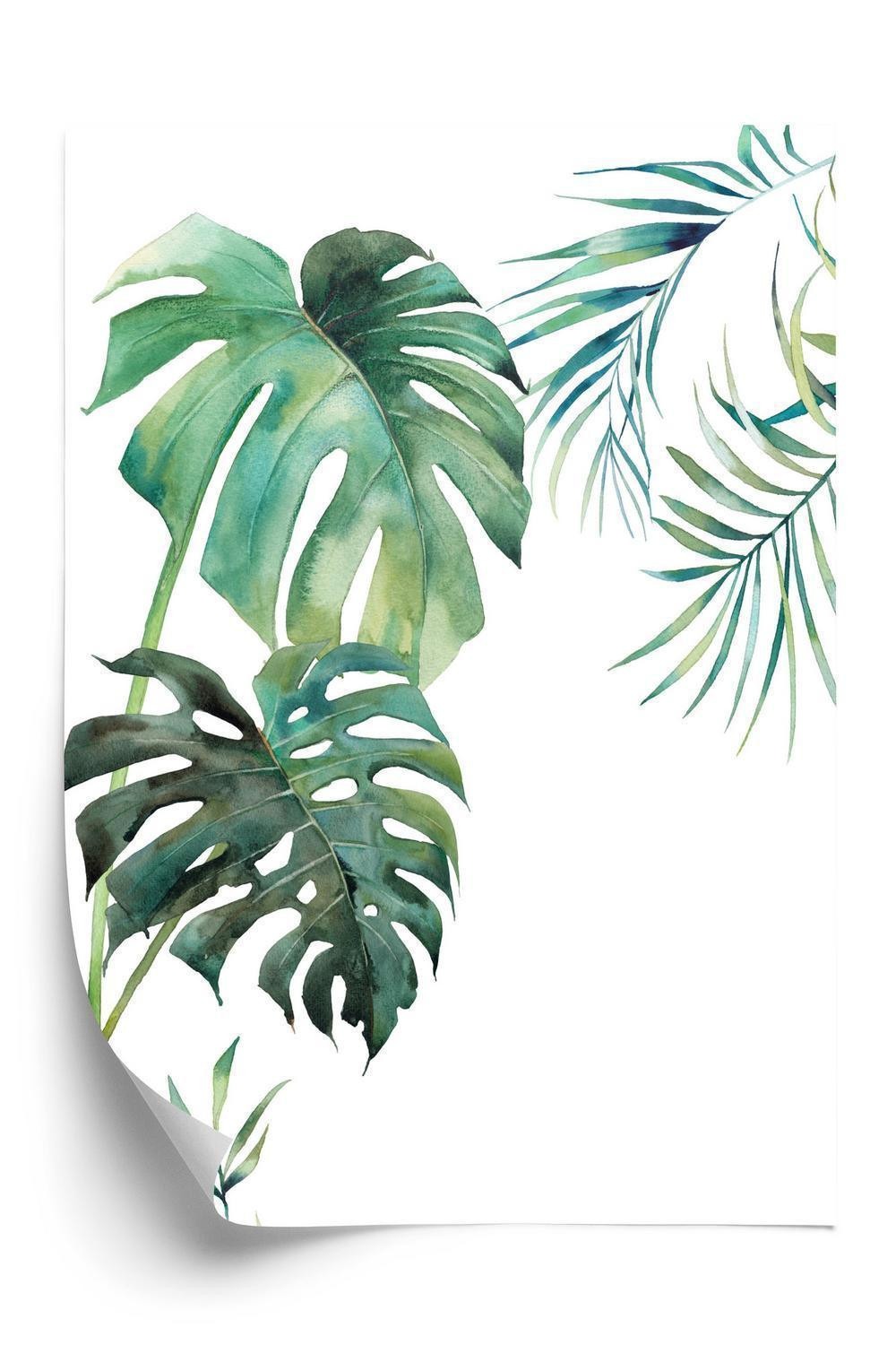 Plakat - Tropisk mønster med akvarel palme og monstera blade