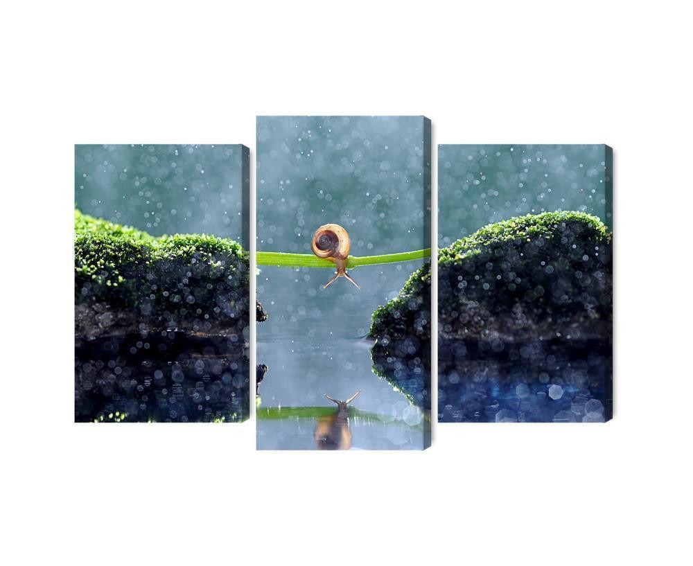 Flerdelt billede på lærred snegl i regnen