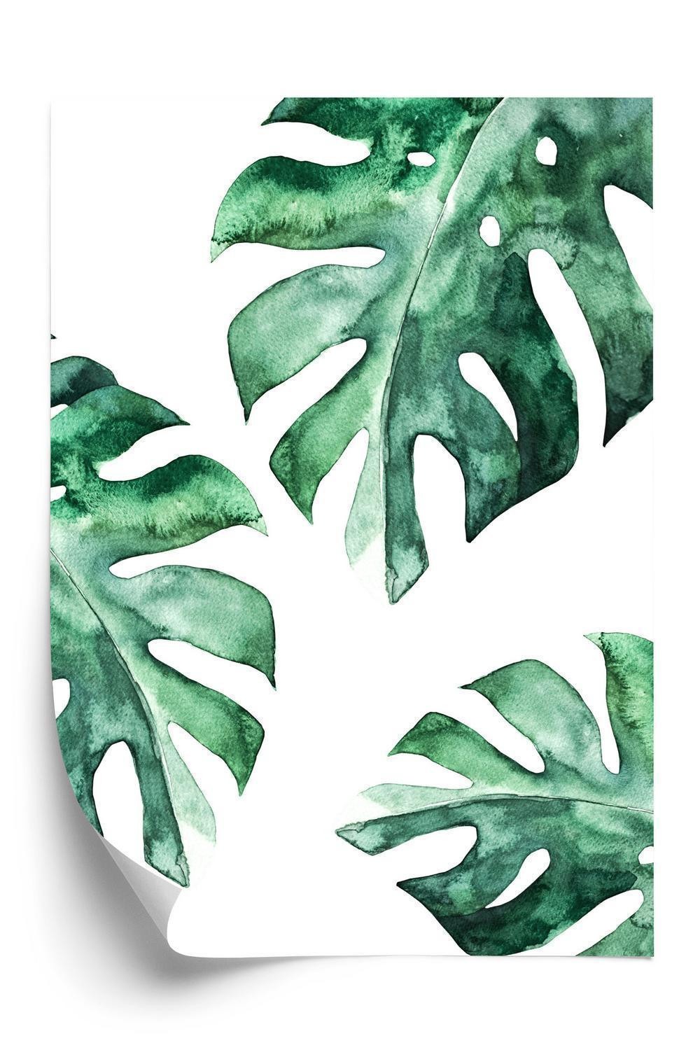 Plakat - Tre akvarel monstera blade