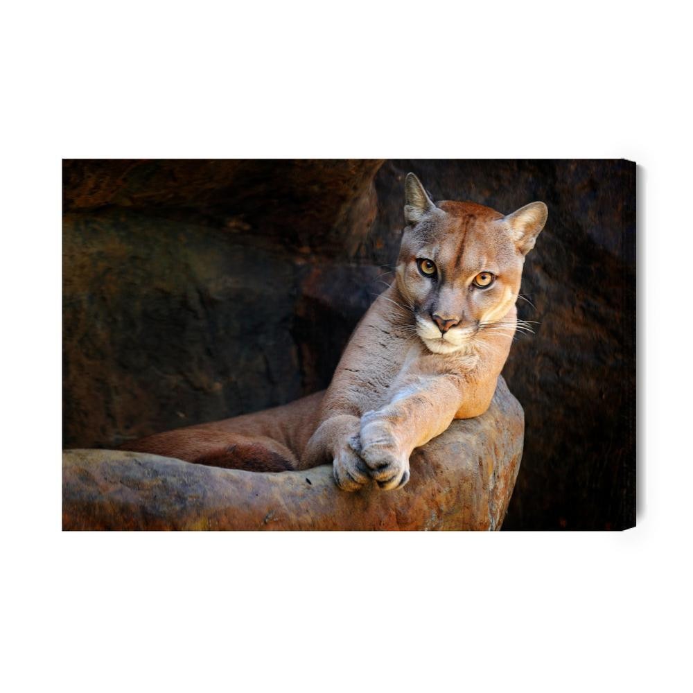 Lærred - Puma i sit naturlige habitat