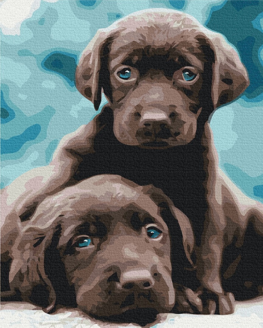 Mal efter tal - Blue eyed puppies