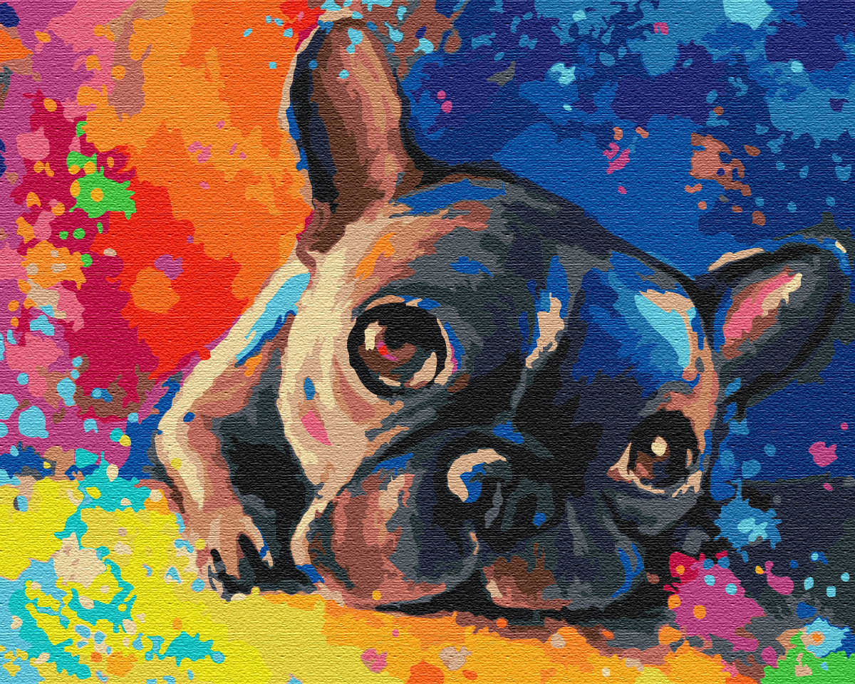 Mal efter tal - Colored bulldog
