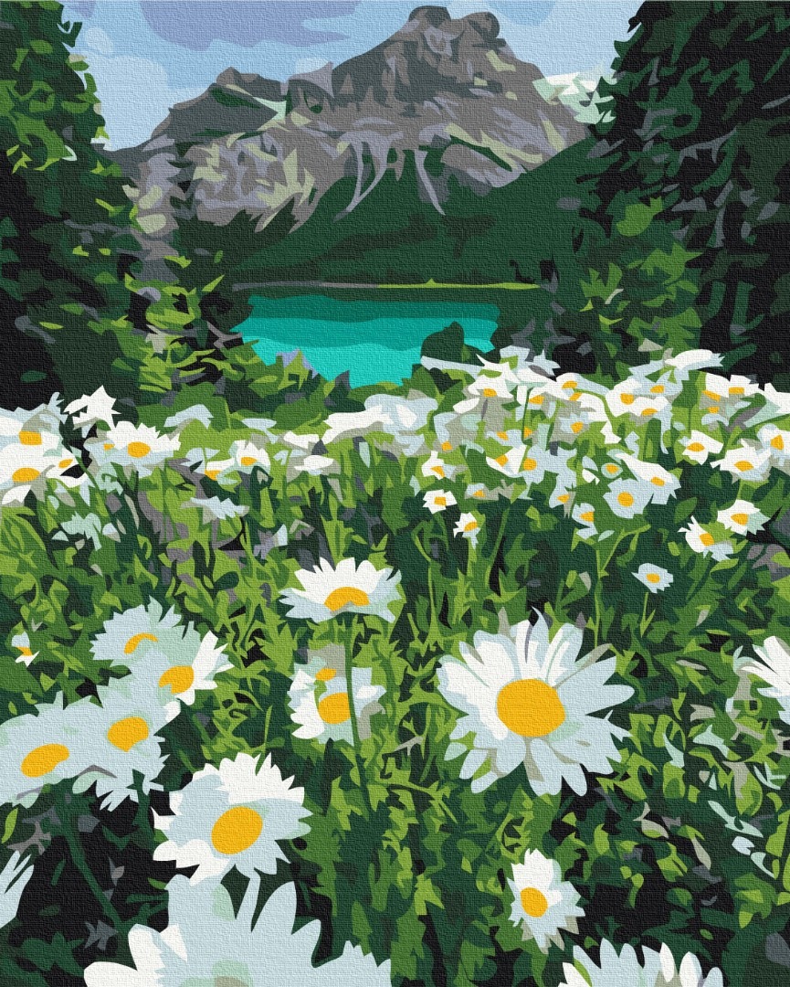Mal efter tal - Daisies by the mountains