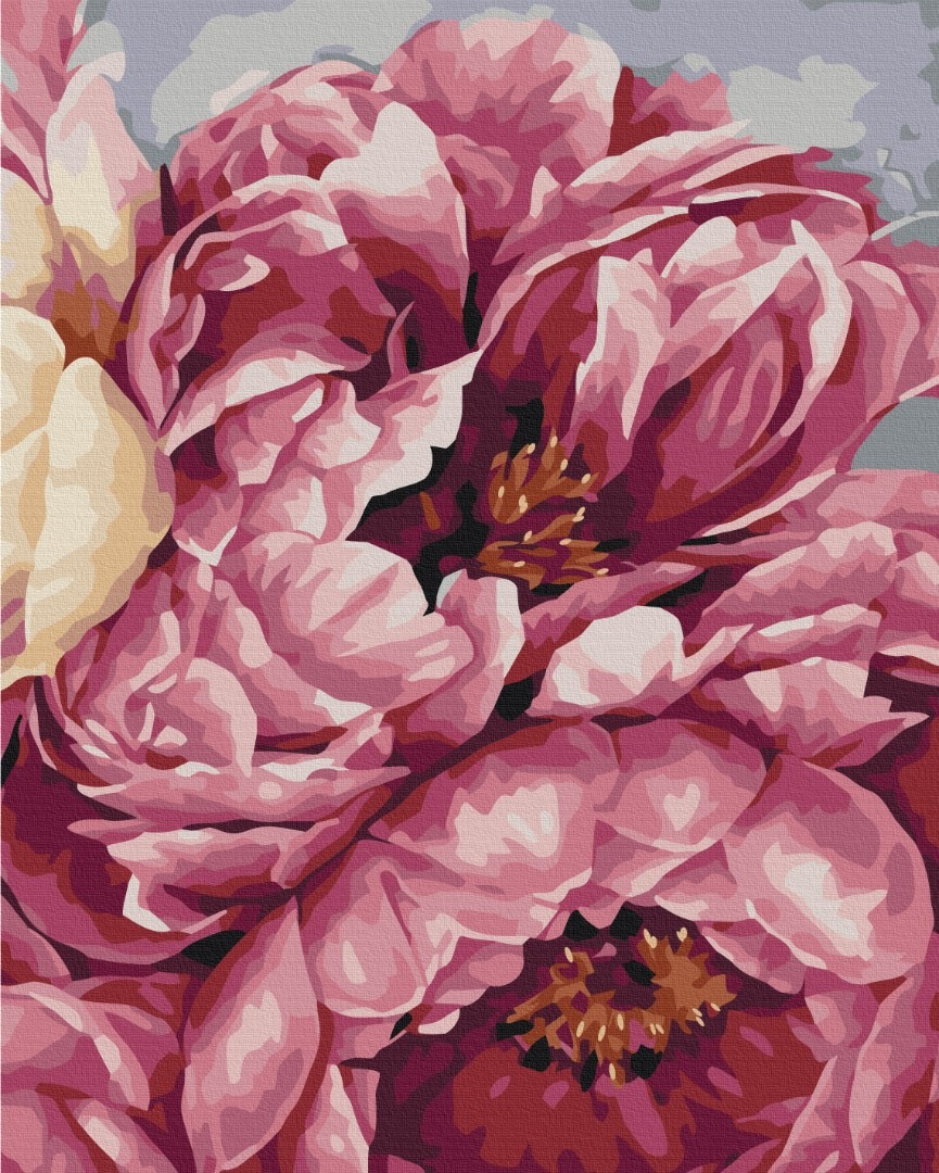 Mal efter tal - Flowering peonies