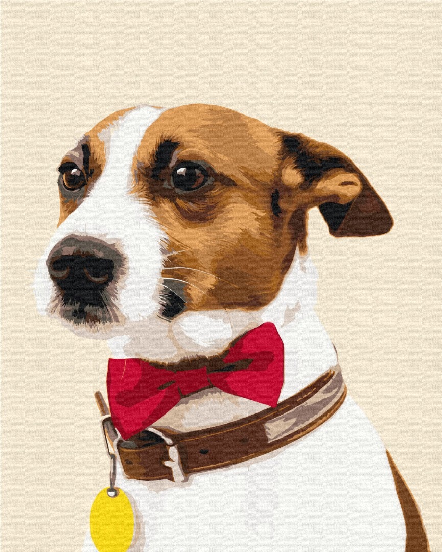 Mal efter tal - Champion dog