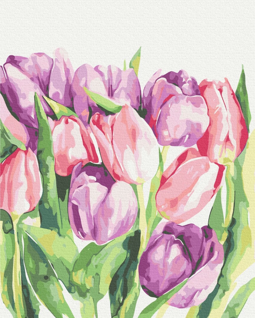 Mal efter tal - Morning tulips © Karolina Bundash