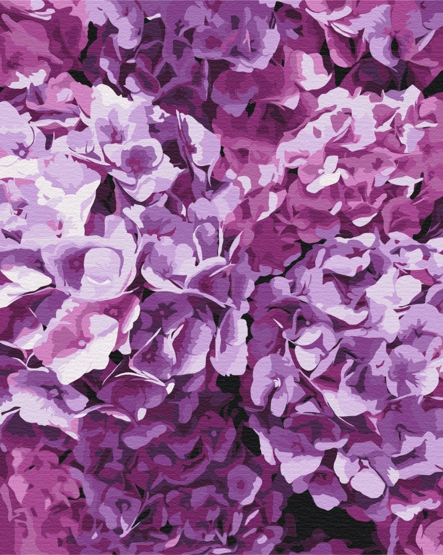 Mal efter tal - The beauty of hydrangeas