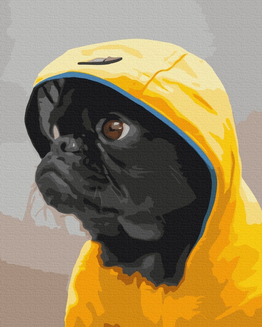 Mal efter tal - Pug in hood