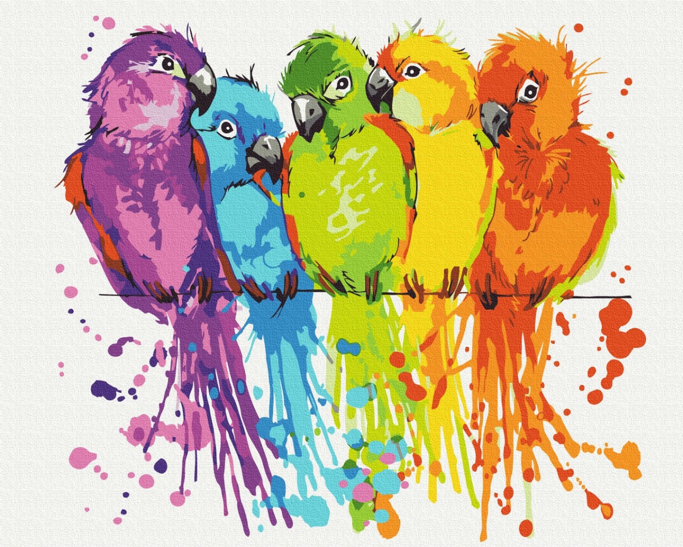 Mal efter tal - Colorful parrots