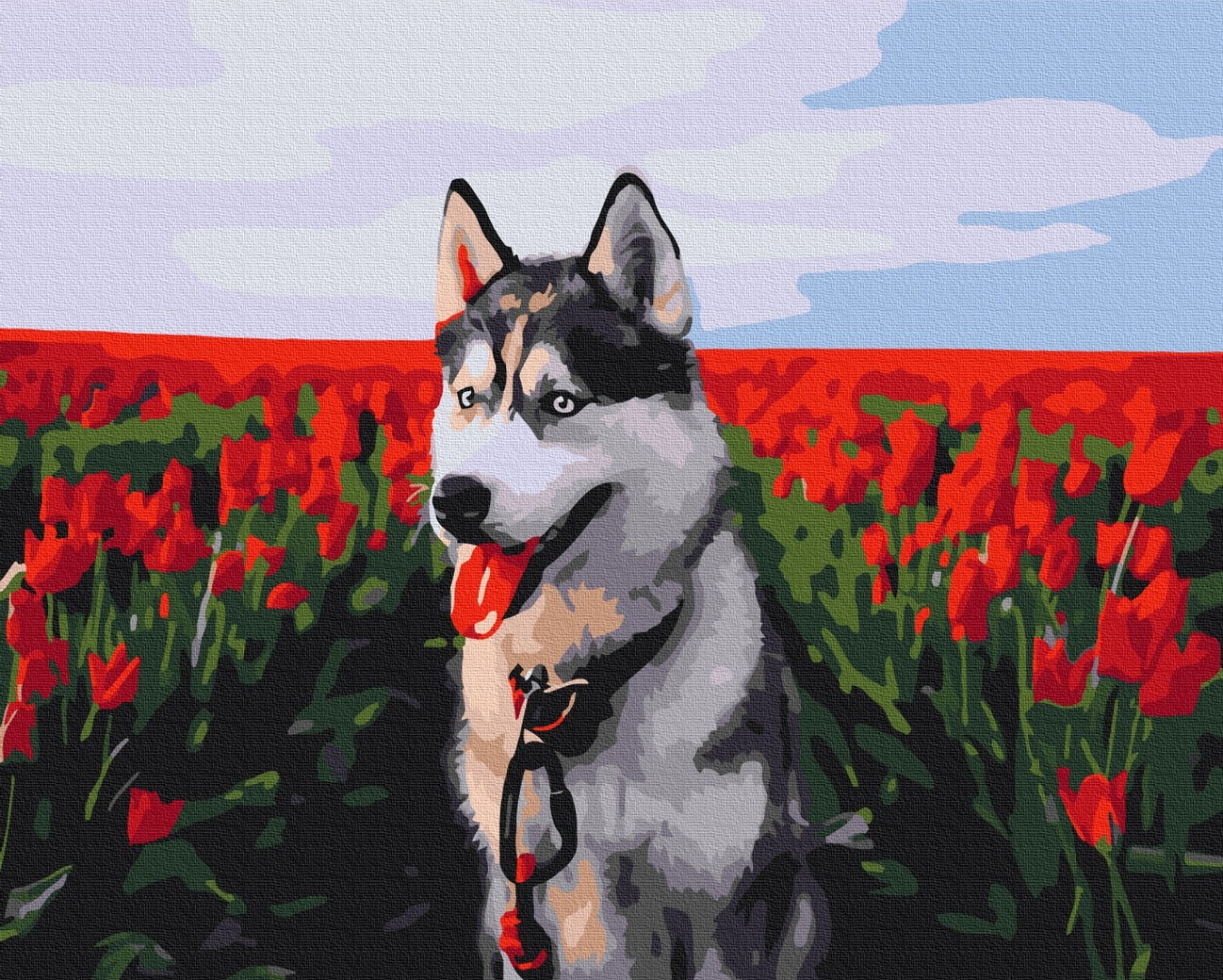 Mal efter tal - Husky in a tulip field