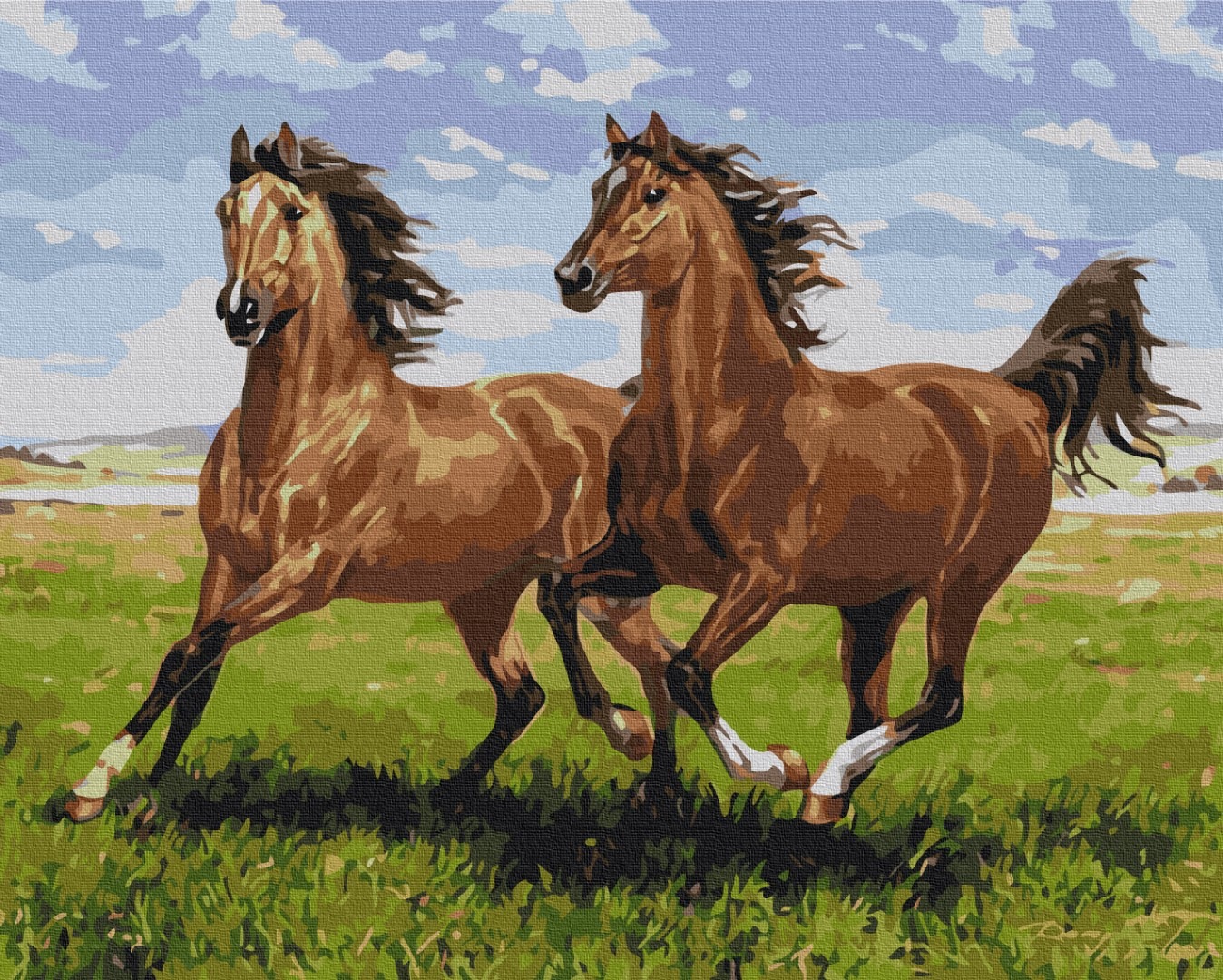 Mal efter tal - Horses on a run