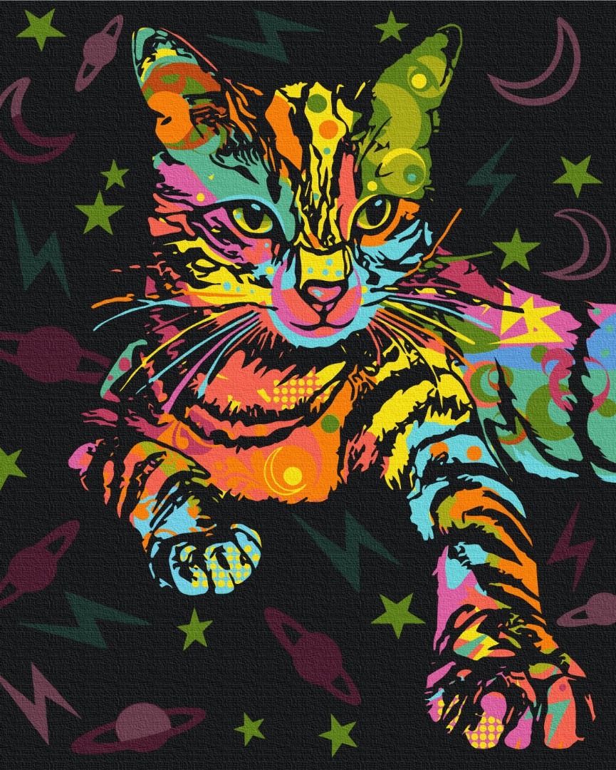 Mal efter tal - Space cat