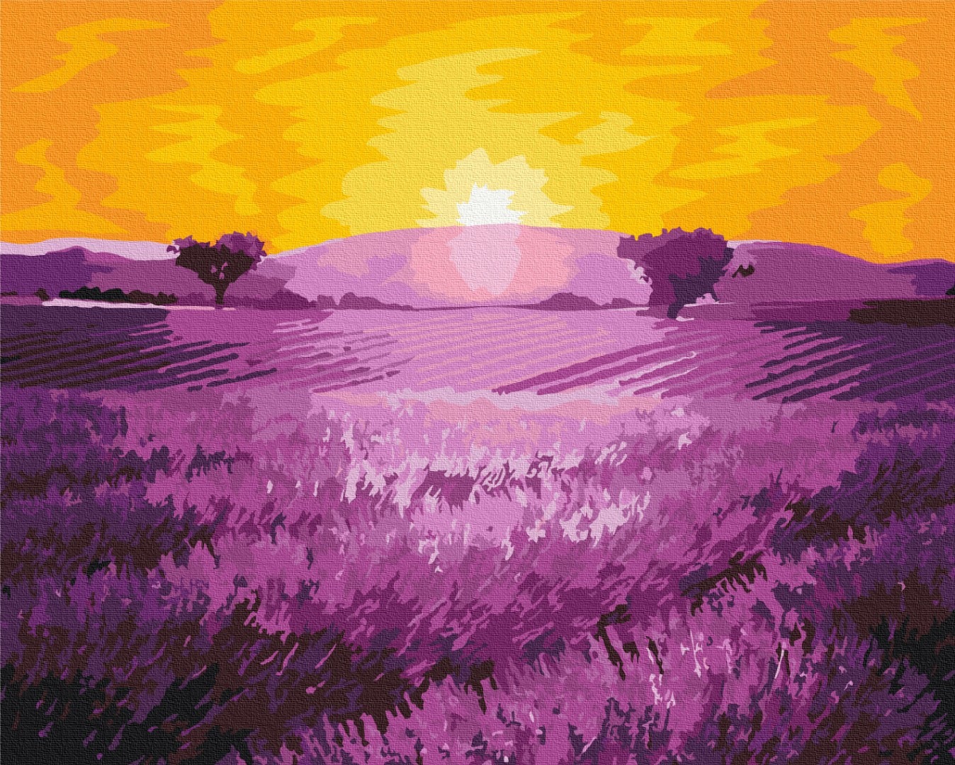 Mal efter tal - Sunrise over lavender