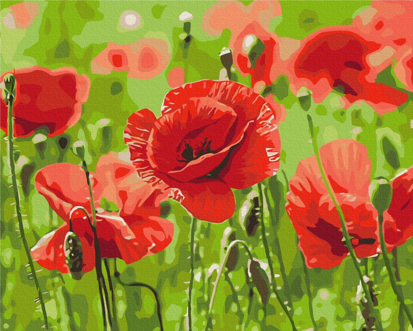 Mal efter tal - Red poppies