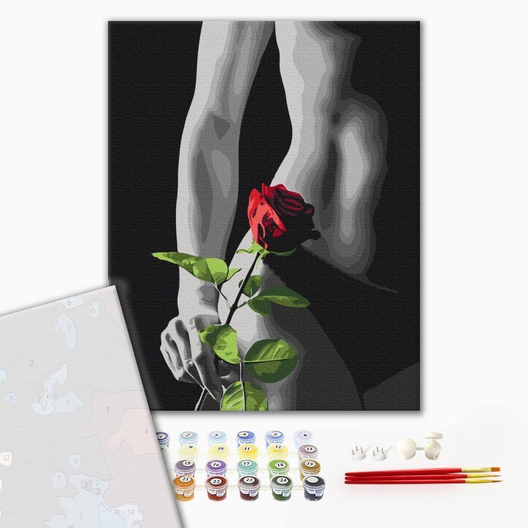 Mal efter tal - Elegant accent