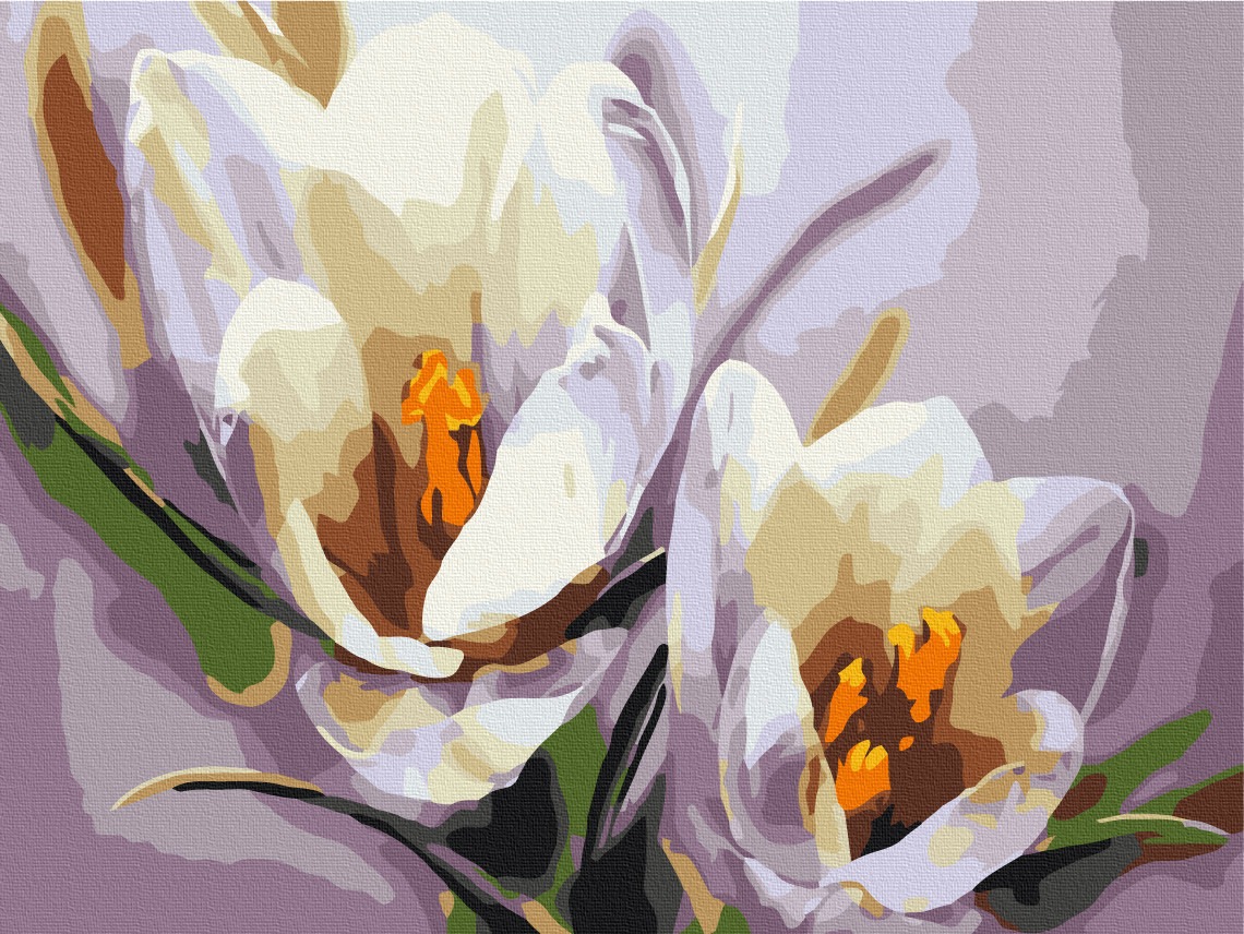 Mal efter tal - Crocuses