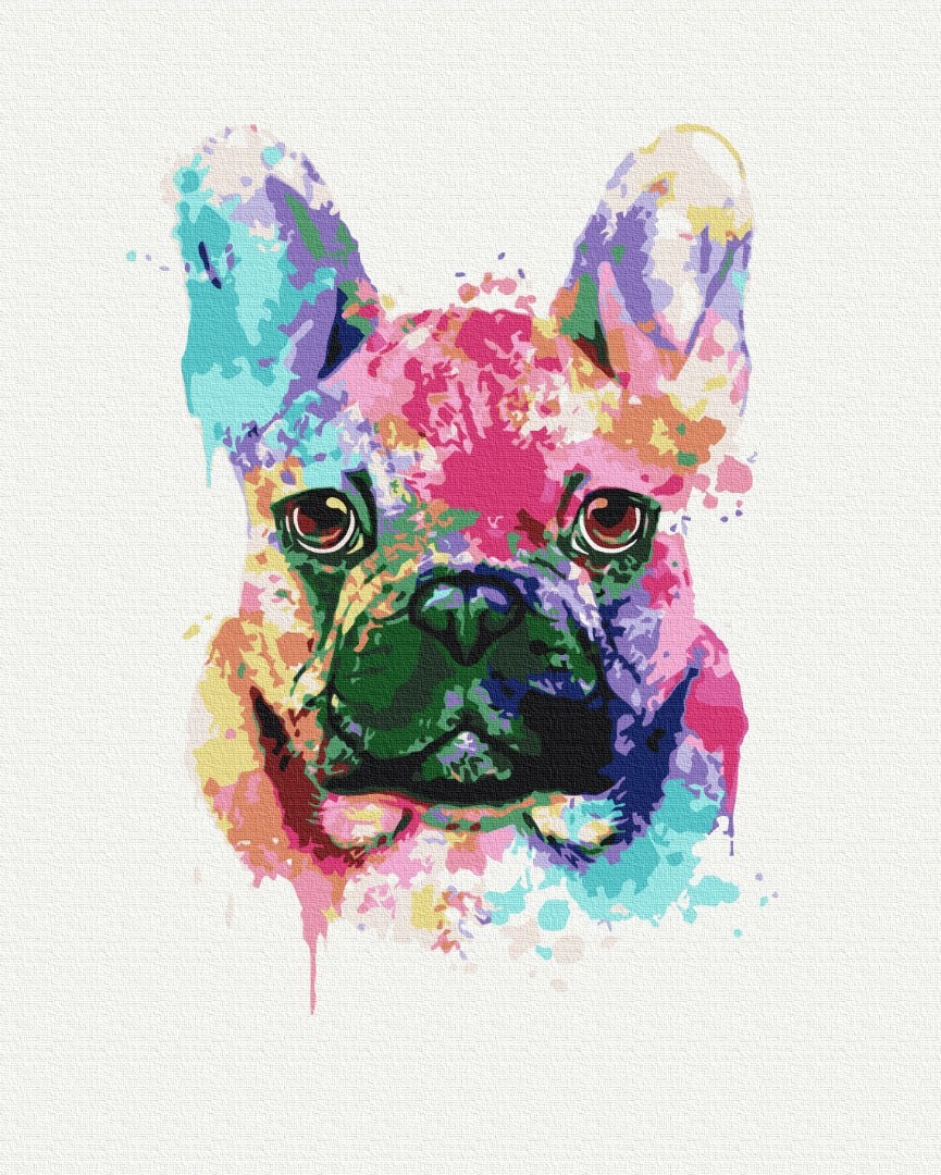 Mal efter tal - Colorful bulldog