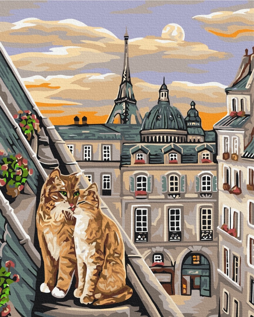Mal efter tal - Cat tenderness in Paris