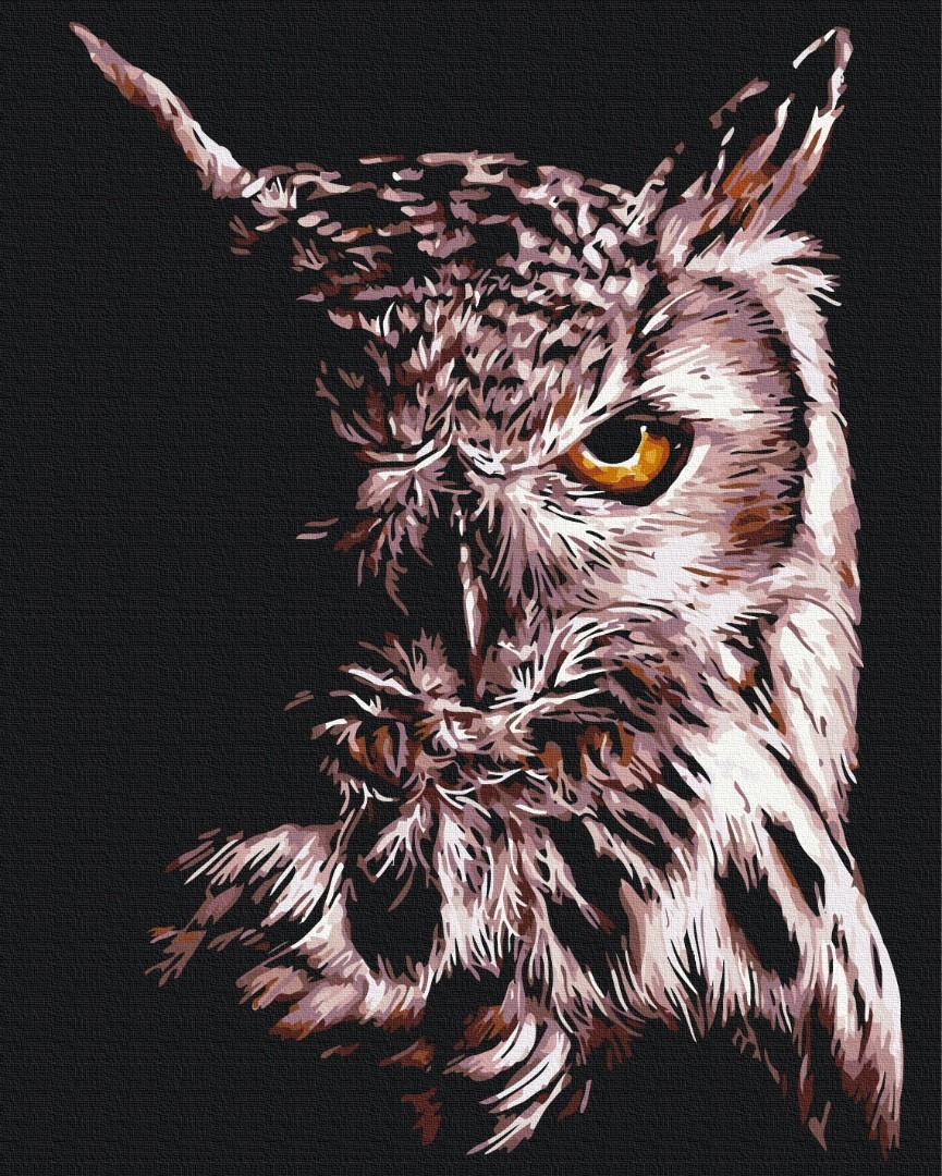 Mal efter tal - Owl