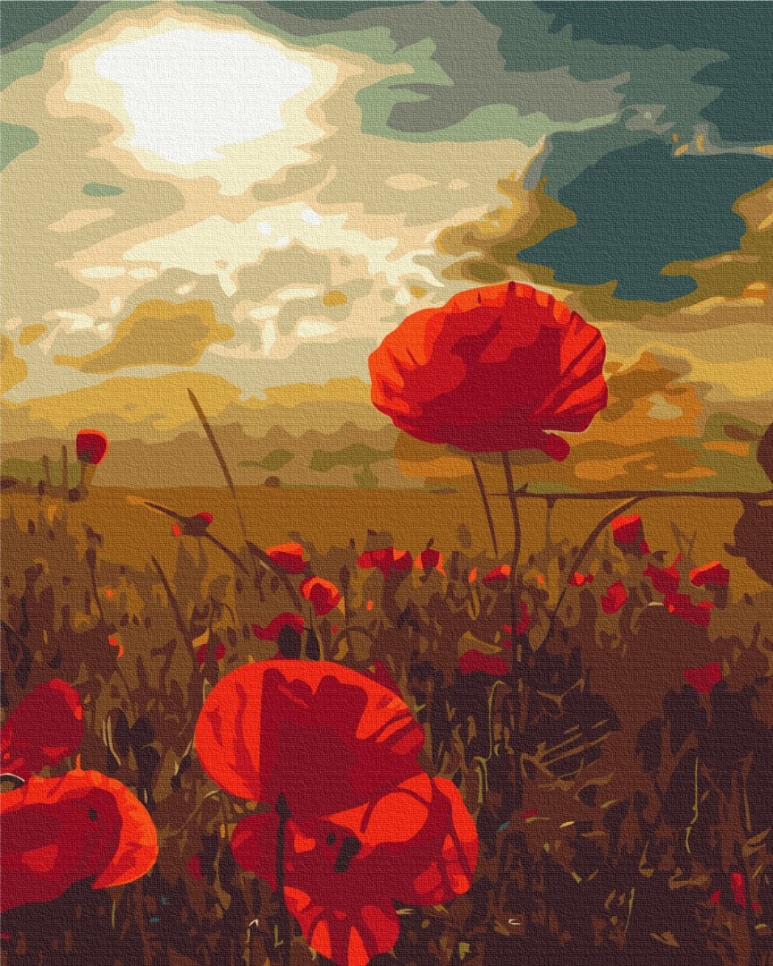 Mal efter tal - Poppies under the scorching sun