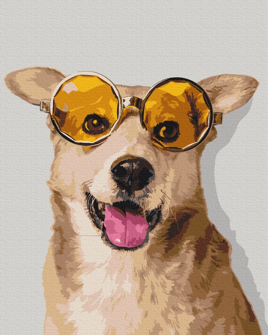 Mal efter tal - Corgi hipster