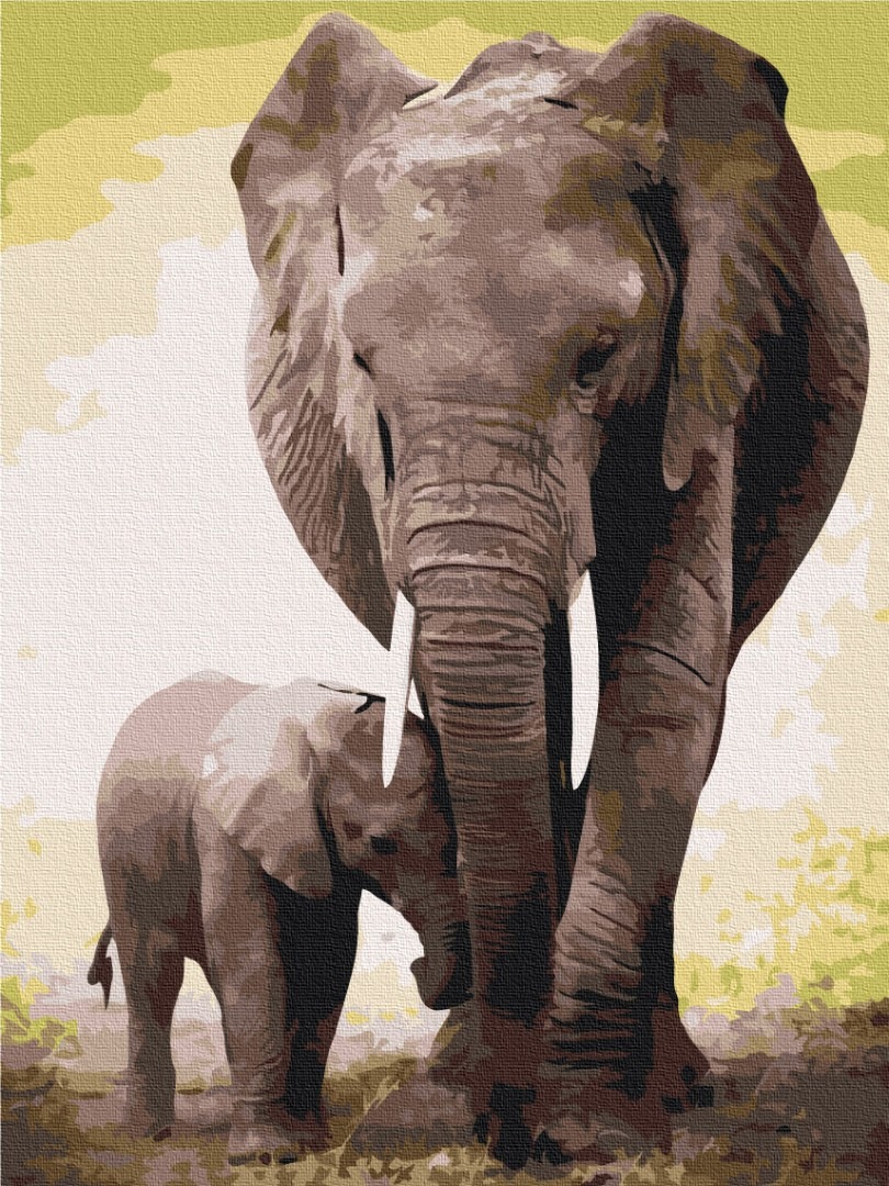 Mal efter tal - The first days of the elephant