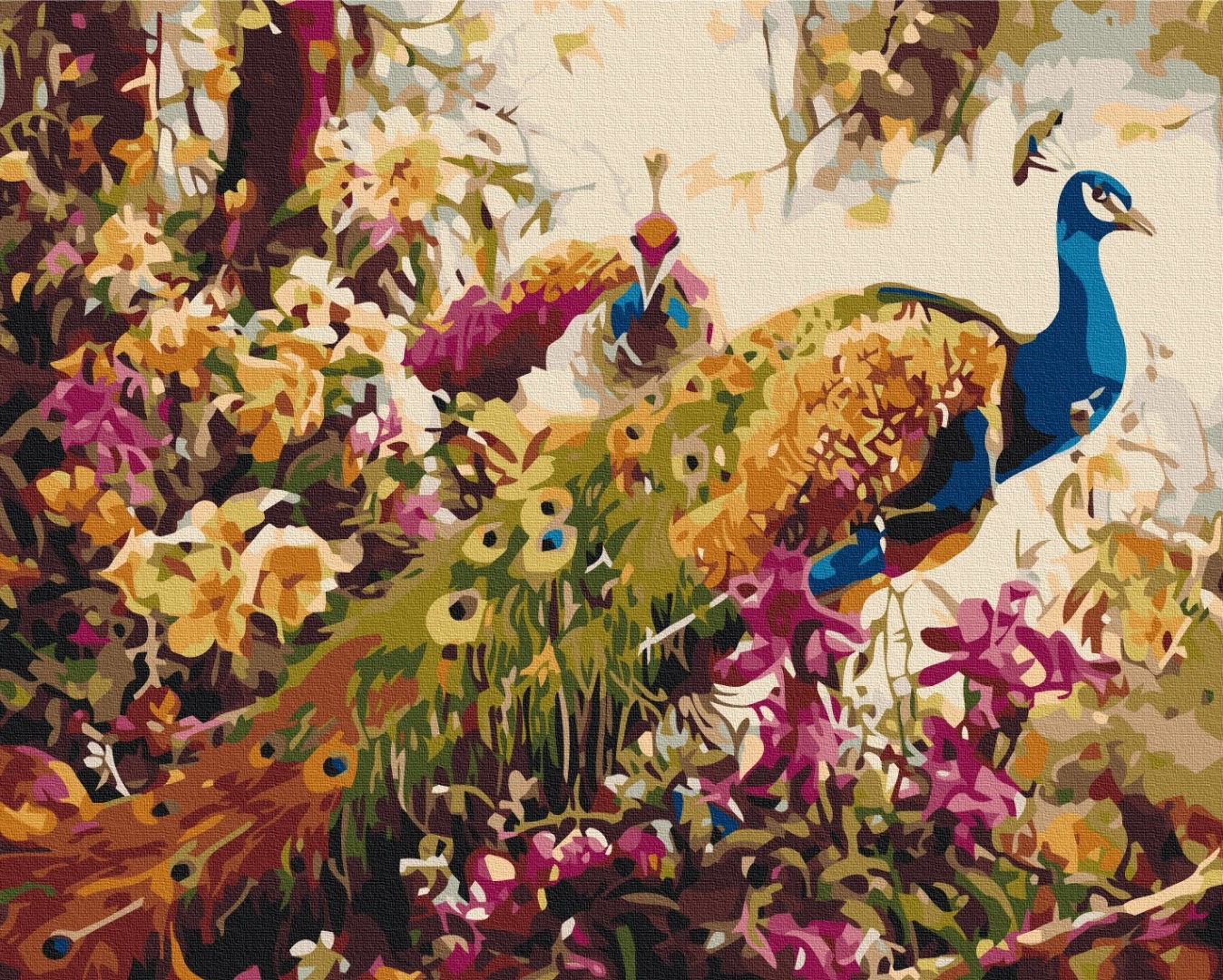 Mal efter tal - Blooming peacocks